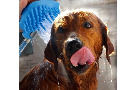 Kutya masszírozó, tisztító és fürdető kefe