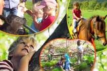 Lovaglás, kirándulás, medence, trambulin! 5 napos nyári napközis tábor napi 3-szori étkezéssel és szabadidős foglalkozásokkal 5-12 éveseknek (június 24. és augusztus 30. között)