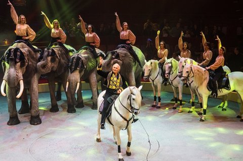 Cirkuszbelépő a 2018-as nemzetközi gálaműsorra