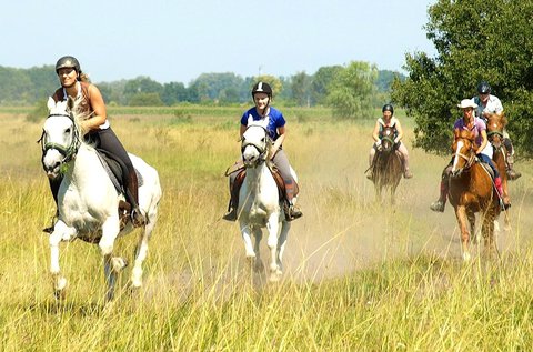 Tereplovaglás gyakorlott lovasoknak Kunbaracson