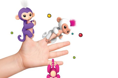 Markoló Maki a kapaszkodó majombarát