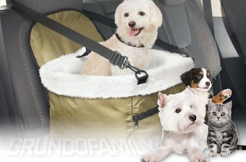 Autós biztonsági ülés kistestű kutyáknak