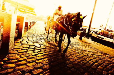 Lovas sétakocsikázás pároknak a festői Pilisben