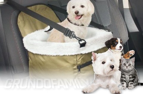 Autós biztonsági ülés kistestű kutyáknak