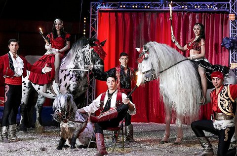 Magyar Nemzeti Cirkusz jubileumi gálaműsor belépő