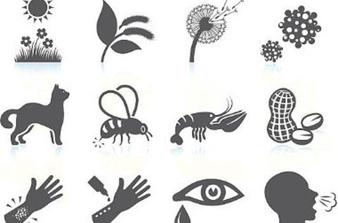 Teljes allergiavizsgálat 400 féle anyagra