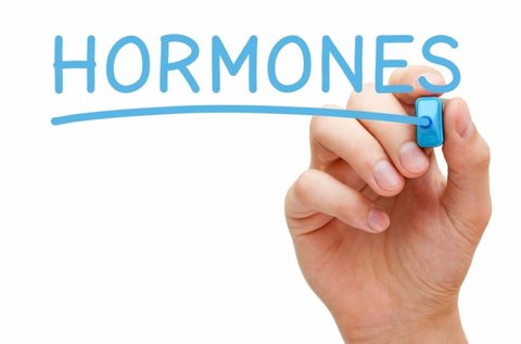 Teljes hormonrendszer felmérés és kiértékelés